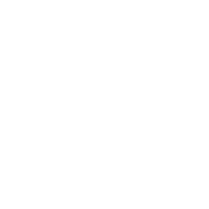 Nikon 100th Anniversary Logo